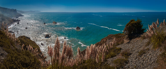 High Bluff Overlook Seascape over the rocky cliff with pampas grass, in Redwoods State and National Forest park in California