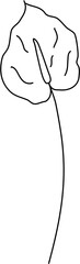 minimal- leaves- boho- monoline- minimalist- floral- flower- line- doodle 
