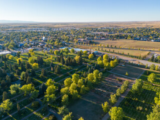 Green Summer Cemetery from air aerial drone image with city and buildings in background in Laramie Wyoming