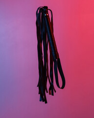 Sex shop leather whip floating in the air, isolated in blue-red neon gradient light. Levitating objects. Minimal concept