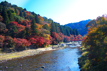 秋の美しい香嵐渓