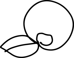 berry fruit in continuous line art drawing style. Black line sketch on white background. Vector illustration