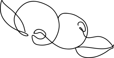 berry fruit in continuous line art drawing style. Black line sketch on white background. Vector illustration