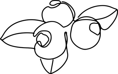 berry fruit in continuous line art drawing style. Black line sketch on white background. Vector illustration