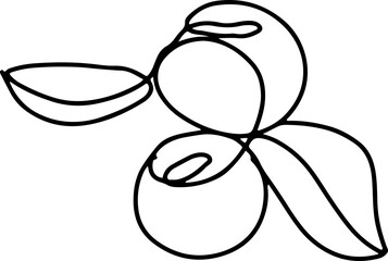 berry fruit in continuous line art drawing style. Black line sketch on white background. Vector illustration