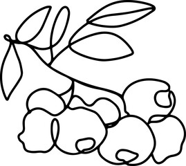 berry fruit in continuous line art drawing style. Black line sketch on white background. Vector illustration