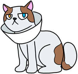 cute kitten cat cartoon illustration