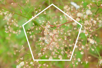 Frame Icon polygon Symbol Copy Concept Space on wild grass background