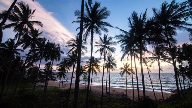 Timelaps of moving colorful sky sunset at coconut field