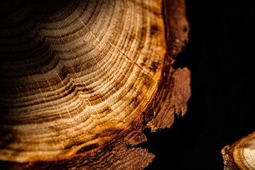 pine wood detail and texture