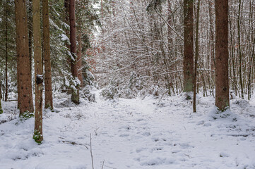 Hiking in the nature reserve H&ouml;lle in Bavaria