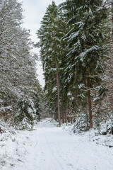 Hiking in the nature reserve Hölle in Bavaria