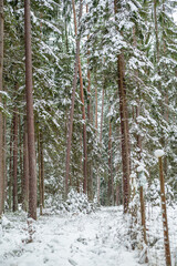 Hiking in the nature reserve Hölle in Bavaria