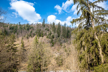Hiking in the nature reserve Hölle in Bavaria