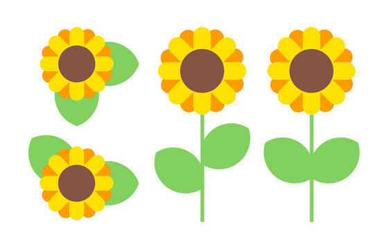 A set of illustrations of sunflower flowers blooming in summer.