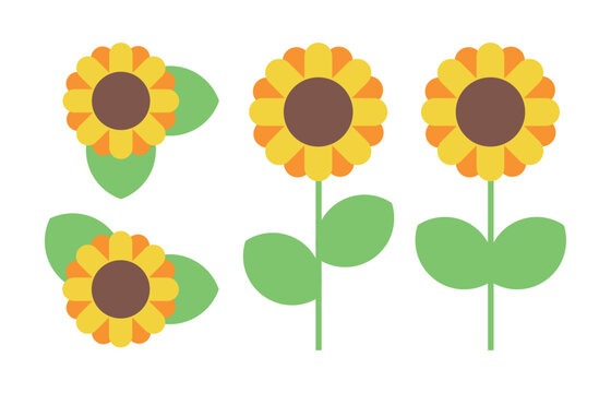 A set of illustrations of sunflower flowers blooming in summer.