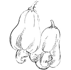 Cashew Apple