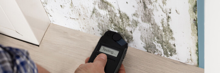 Person Hand Testing The Moldy Wall