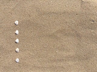 Fototapeta na wymiar Seashells arranged as bullet points in sand on beach