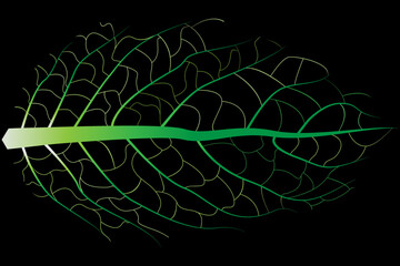 black abstract background with green gradient