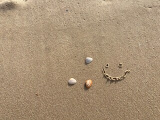 A smiling face carved in the sand with seashells