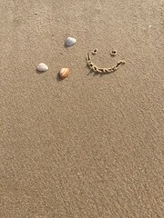 A smiling face carved in the sand with seashells