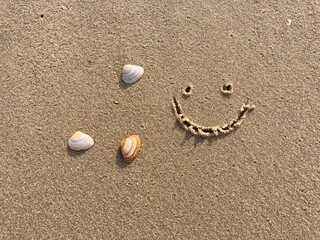 A smiling face carved in the sand with seashells
