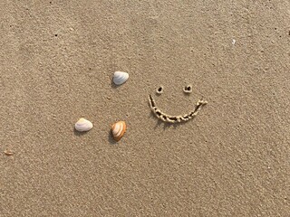 A smiling face carved in the sand with seashells