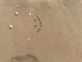 A smiling face carved in the sand with seashells