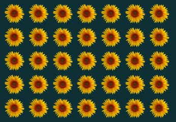 sunflowers flowers design background.