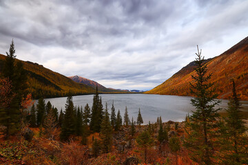 Altai-Gebirgsflusslandschaft, panoramischer Landschafts-Türkisstrom © kichigin19