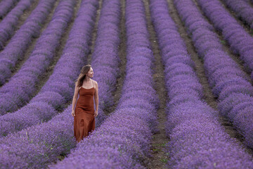 Beautiful woman with long dark hair in a dress in a lavender field.