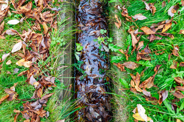 trench clogged with leaves
