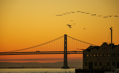 Oakland Bay Bridge landmark in San Francisco, transportation industry architecture photography during a beautiful sunrise with spectacular sky. Travel to California, United States.