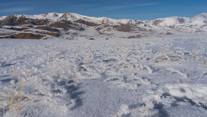 A high-altitude snow-covered valley. The dry grass and the ground are covered with a pure fluffy hoarfrost. A red-brown mountain range against a blue sky. Altai Mars Kyzyl-Chin © Вера 