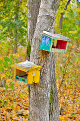 Empty bird feeders on a cold autumn day