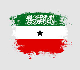 Elegant grungy brush flag with Somaliland national flag vector