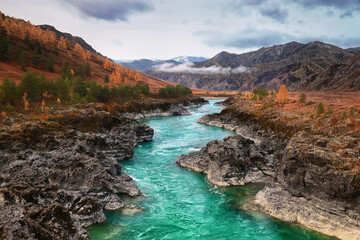 Altai mountain river landscape, panoramic scenery turquoise stream - obrazy, fototapety, plakaty