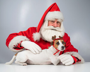 Portrait of santa claus and dog jack russell terrier in rudolf reindeer ears on a white background. 