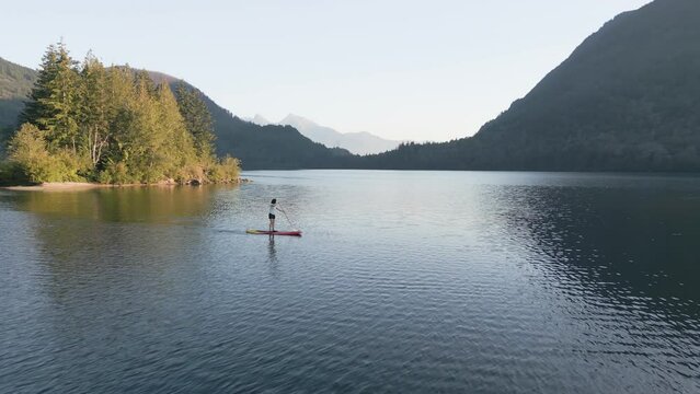 Adventurous Woman Paddling on a Paddle Board in a peaceful lake. Sunny Sunset. Hicks Lake, Sasquatch Provincial Park near Harrison Hot Springs, British Columbia, Canada. Slow Motion