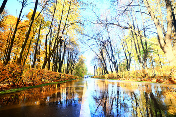 path in the autumn park sunny landscape wallpaper fall abstract