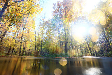 Fototapeta premium path in the autumn park sunny landscape wallpaper fall abstract