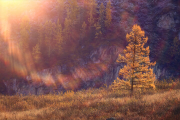landschaft berg altai, panorama landschaft freiheit, herbstnatur sibiriens © kichigin19