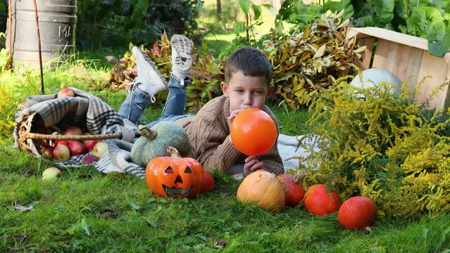 Cute boy laying near pumpkin with scary face and inflating a balloon between apples in garden. Kid trick or treating on Halloween. Family time at Thanksgiving and Halloween. Festive season in October	