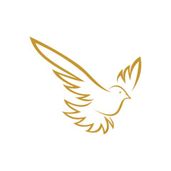 Dove bird logo