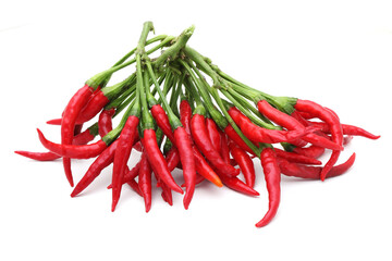 赤唐辛子 白バック