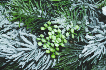 Artificial fir tree branches with needles close up. Christmas decoration