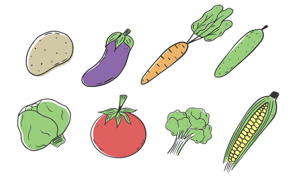 Set of vegetables in doodle style. Cucumber, carrot, corn, broccoli, potato. tomato, eggplant, cabbage.