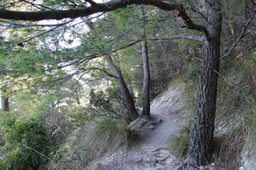Sentiero di montagna