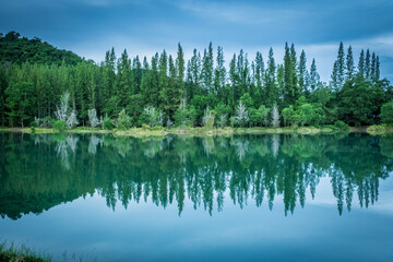 Fototapeta na wymiar Beautiful view of green pine forest and lake with trees and cloudy blue sky reflection, landscape of old mine Liwong in Chana, Songkhla, Thailand